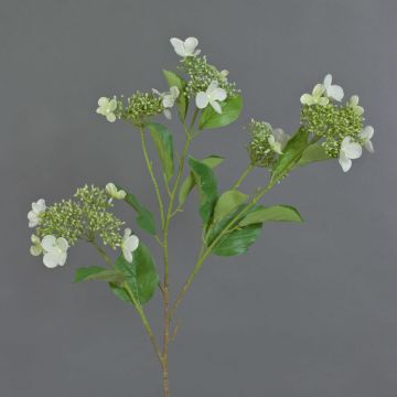 Rama de hortensia artificial KATHANI, crema, 80 cm