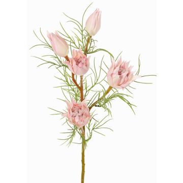 Rama decorativa protea NOHEA, rosa-blanco, 60cm, Ø3-6cm