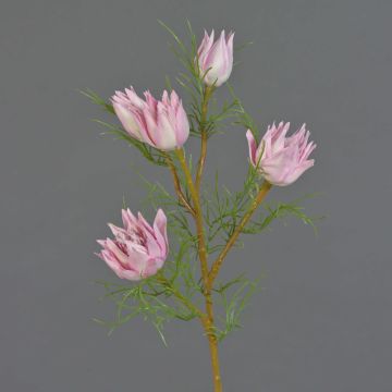 Rama decorativa protea NOHEA, rosa pálido, 60 cm Rama decorativa protea NOHEA, rosa pálido, 60 cm