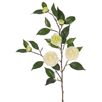 Rama de camelia artificial YARINA con flores, crema-verde, 75cm