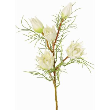 Rama decorativa Protea NOHEA, blanca, blanco, 60cm, Ø3-6cm