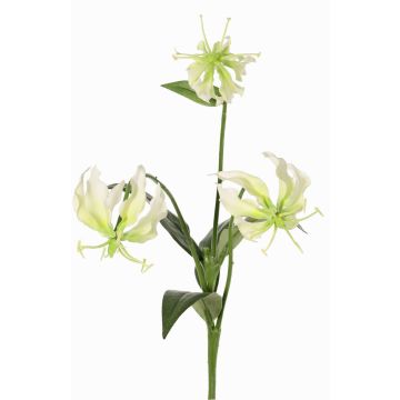 Flor decorativa Gloriosa XELA, blanco-verde, 50cm, Ø4-7cm