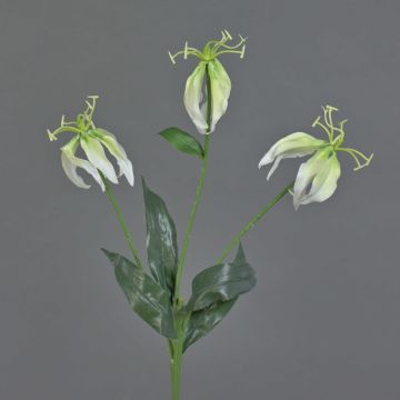 Flor decorativa Gloriosa XELA, blanco-verde, 50 cm