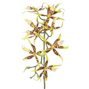 Orquídea Brassia artificial ORELA, amarillo-rojo, 90cm