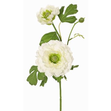 Rama artificial ranúnculo SAGARA, blanco-verde, 45cm, Ø5-9cm Rama artificial ranúnculo SAGARA, blanco-verde, 45cm, Ø5-9cm