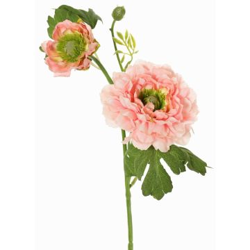 Rama artificial ranúnculo SAGARA, rosa-verde, 45cm, Ø5-9cm Rama artificial ranúnculo SAGARA, rosa-verde, 45cm, Ø5-9cm