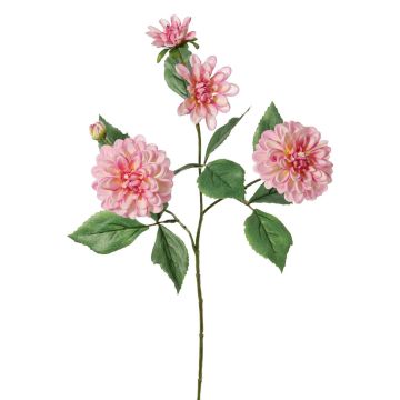 Rama decorativa de dalia artificial QUINKA, rosa, 70 cm