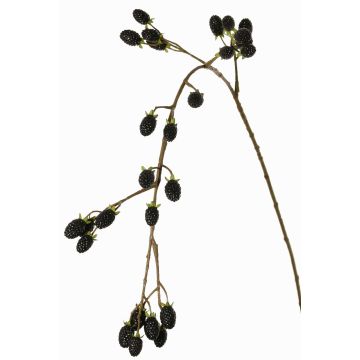Rama decorativa de mora URUMA con frutos, negra, 100cm Rama decorativa de mora URUMA con frutos, negra, 100cm