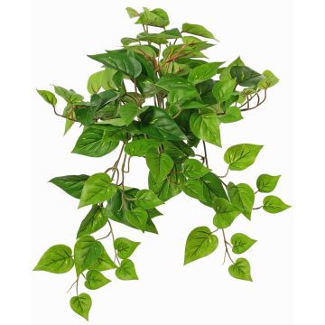 Planta decorativa de hiedra colgante SHELLEY en varilla, Eco Collection, verde, 55cm Planta decorativa de hiedra colgante SHELLEY en varilla, Eco Collection, verde, 55cm