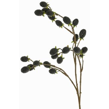 Rama decorativa de mora URUMA con frutos, negra, 90cm