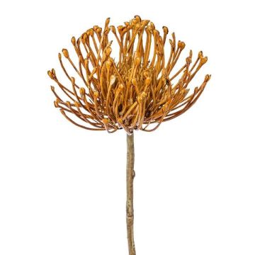 Flor artificial Protea ZIRMO, naranja, 50 cm Flor artificial Protea ZIRMO, naranja, 50 cm