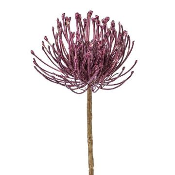 Flor artificial Protea ZIRMO, lila, 50 cm Flor artificial Protea ZIRMO, lila, 50 cm