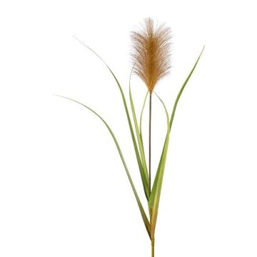 Decoración de pampas JIRZA, varilla, marrón, 105cm