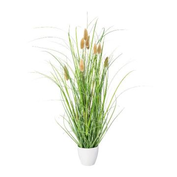 Hierba decorativa cola de conejo BIRVO en maceta de melamina, panículas, beige, 50 cm