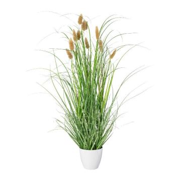 Hierba decorativa cola de conejo BIRVO en maceta de melamina, panículas, beige, 60 cm