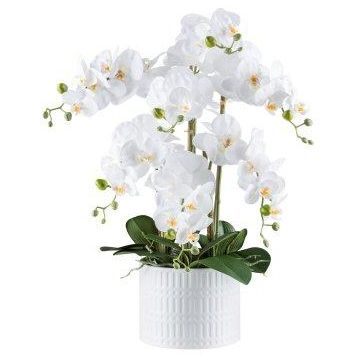 Flor decorativa Phalaenopsis TOUNI, maceta de cerámica, raíces, blanca, 60cm