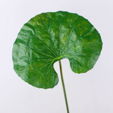 Hoja falsa de nenúfar ZEREENA, verde, 70cm