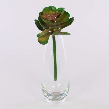 Echeveria gibbiflora artificial ERNESTO, varilla de ajuste, verde-rosa, 23cm, Ø13cm Echeveria gibbiflora artificial ERNESTO, varilla de ajuste, verde-rosa, 23cm, Ø13cm