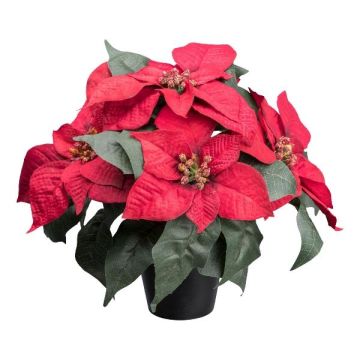 Flor artificial Poinsettia FRIZO en maceta decorativa, roja, 26cm Flor artificial Poinsettia FRIZO en maceta decorativa, roja, 26cm