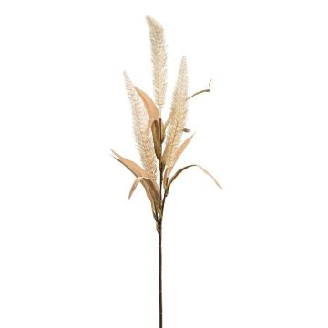 Rama decorativa de mijo KENFIR con panículas, crema, 70 cm