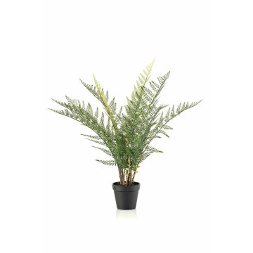 Planta artificial helecho espada LOWTAN en maceta decorativa, crossdoor, verde, 65 cm
