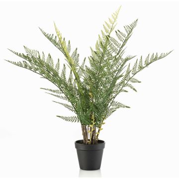 Planta artificial helecho espada LOWTAN en maceta decorativa, crossdoor, verde, 65 cm