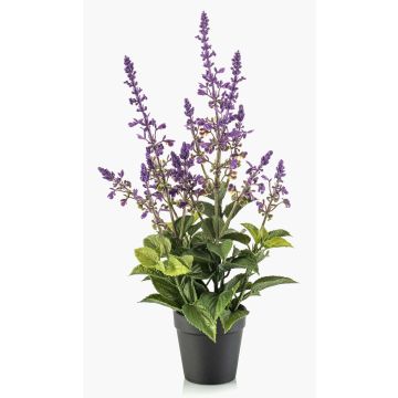 Planta artificial salvia SWORTA en maceta decorativa, flores, lavanda, 45 cm Planta artificial salvia SWORTA en maceta decorativa, flores, lavanda, 45 cm