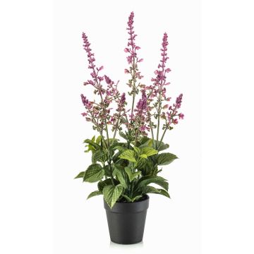 Planta artificial salvia SWORTA en maceta decorativa, flores, malva, 45 cm Planta artificial salvia SWORTA en maceta decorativa, flores, malva, 45 cm