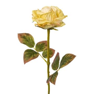 Flor artificial rosa DRINT, verde-crema, 60cm, Ø10,5cm Flor artificial rosa DRINT, verde-crema, 60cm, Ø10,5cm