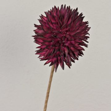 Allium artificial MERAL, burdeos, 80cm, Ø14cm