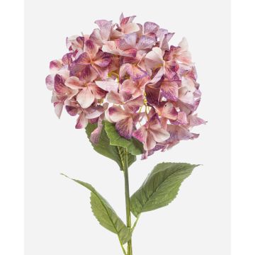 Hortensia artificial BRITTANY, melocotón-lila, 95cm, Ø28cm