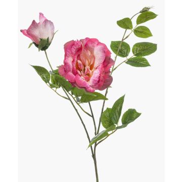 Rama artificial de rosa XAVORN, rosa, fucsia-blanco, 80cm, Ø10-14cm Rama artificial de rosa XAVORN, rosa, fucsia-blanco, 80cm, Ø10-14cm