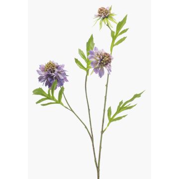 Rama artificial Scabiosa RUXTER, lila, 60 cm Rama artificial Scabiosa RUXTER, lila, 60 cm