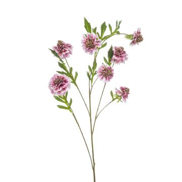 Rama artificial Scabiosa RUXTER, rosa claro, 115 cm