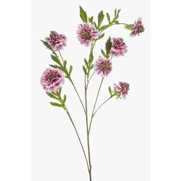 Rama artificial Scabiosa RUXTER, rosa claro, 115 cm Rama artificial Scabiosa RUXTER, rosa claro, 115 cm