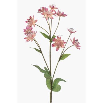 Rama decorativa de aster JAXRON, rosa, 70 cm