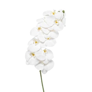 Rama artificial de orquídea Phalaenopsis XURI, blanca, 100 cm Rama artificial de orquídea Phalaenopsis XURI, blanca, 100 cm