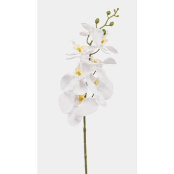 Rama de orquídea Phalaenopsis artificial AXELOR, blanca, 85 cm