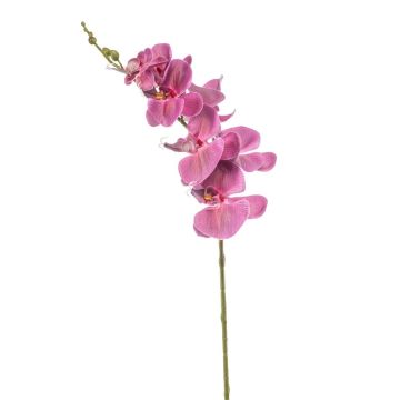 Rama de orquídea Phalaenopsis artificial AXELOR, rosa, 85 cm