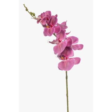 Rama de orquídea Phalaenopsis artificial AXELOR, rosa, 85 cm