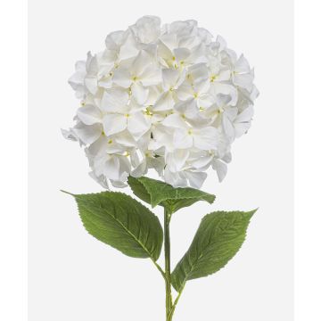 Hortensia artificial BRITTANY, blanca, 90 cm