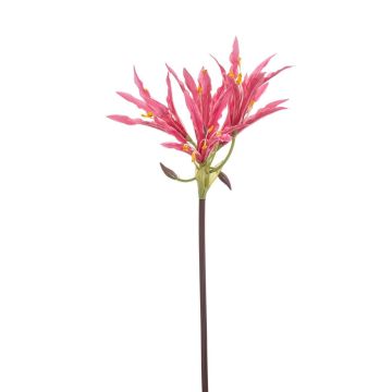 Amaryllis artificial para jardín XAVLER, rosa, 80 cm Amaryllis artificial para jardín XAVLER, rosa, 80 cm
