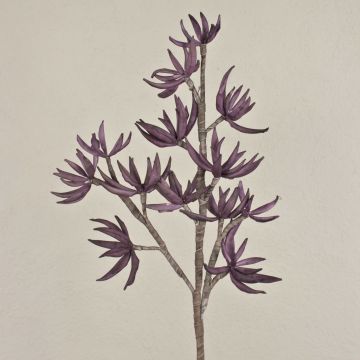 Rama de sedum artificial MOMOKA, morado oscuro, 110cm