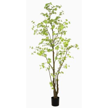 Árbol artificial capuchina SULLA, tronco artificial, verde, 270 cm Árbol artificial capuchina SULLA, tronco artificial, verde, 270 cm