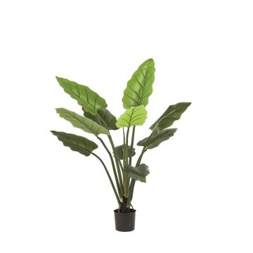 Planta artificial Calathea Rufibarba NUSAKAN, verde, 120 cm