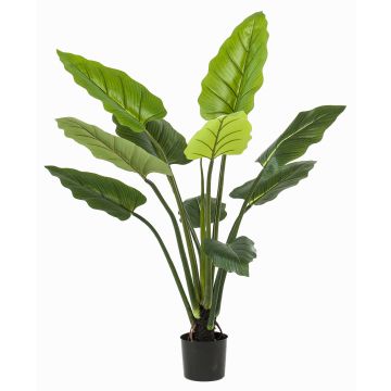 Planta artificial Calathea Rufibarba NUSAKAN, verde, 120 cm