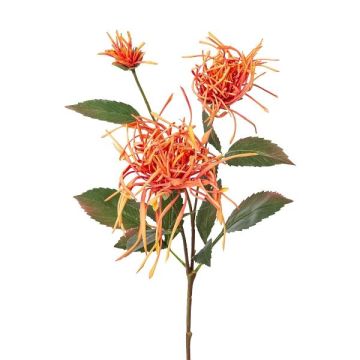 Rama decorativa de crisantemo MIRANE, naranja, 70 cm
