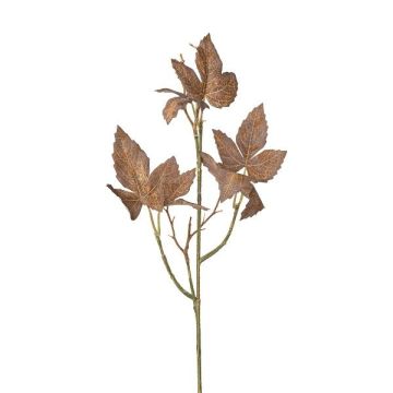 Rama decorativa de parra virgen de tres puntas PLERMO, marrón, 60 cm
