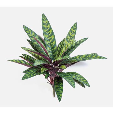 Planta artificial Calathea Makoyana MANAMI en varilla, verde-rojo, 40 cm