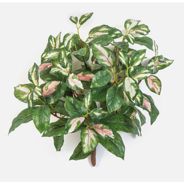 Planta artificial Hoya carnosa OLEANA en varilla, verde-blanco-rosa, 40 cm